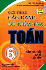 gioi-thieu-cac-dang-de-kiem-tra-toan-6-