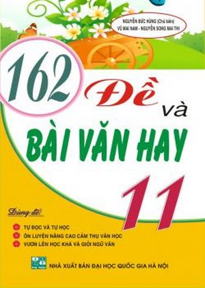 162-de-va-bai-van-hay-lop-11