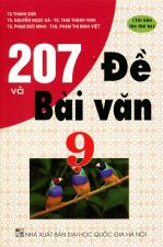 207-de-va-bai-van-9