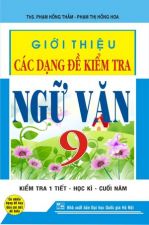 gioi-thieu-cac-dang-de-kiem-tra-ngu-van-9