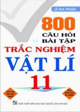 800-cau-hoi-bai-tap-trac-nghiem-vat-li-11-