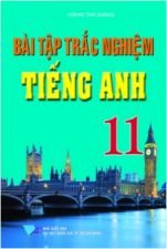 bai-tap-trac-nghiem-tieng-anh-11