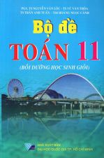 bo-de-toan-lop-11-boi-duong-hoc-sinh-gioi-