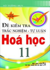 de-kiem-tra-trac-nghiem-tu-luan-hoa-hoc-11-