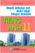 ngu-phap-va-bai-tap-thuc-hanh-tieng-anh-11-