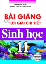 bai-giang-va-loi-giai-chi-tiet-sinh-hoc-lop-11