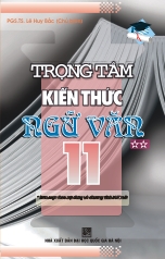 trong-tam-kien-thuc-ngu-van-11-tap-2